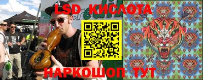 шишки Лесосибирск