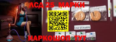 шишки Лесосибирск
