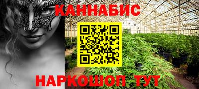 шишки Лесосибирск
