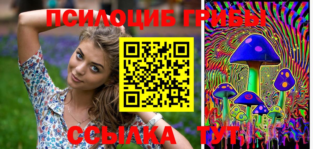 Галлюциногенные грибы GOLDEN TEACHER  Вход с VPN  Псилоцибиновые грибы GOLDEN TEACHER  Армавир 